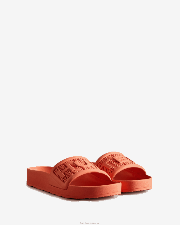 X226V284 bloei dia's vrouwen Hunter suncup oranje