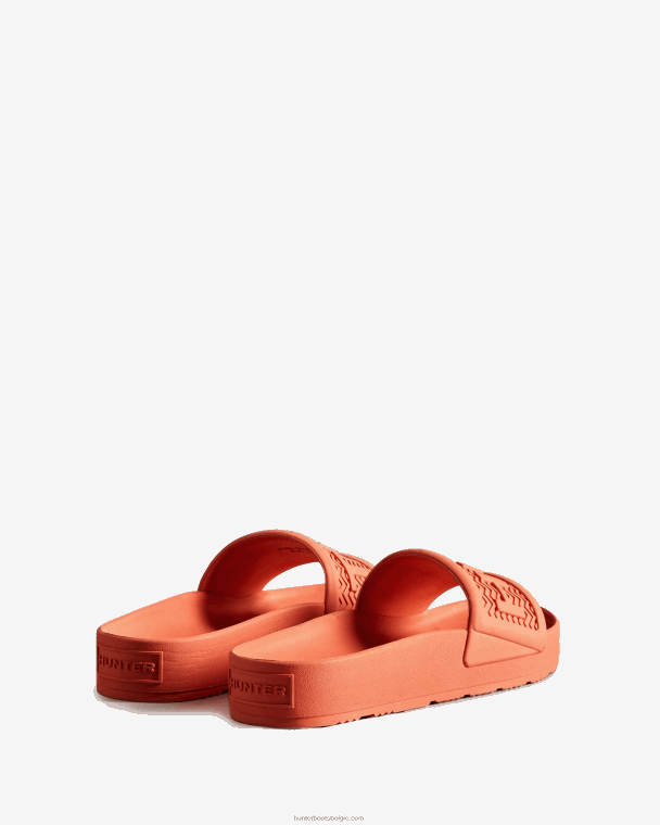 X226V284 bloei dia's vrouwen Hunter suncup oranje