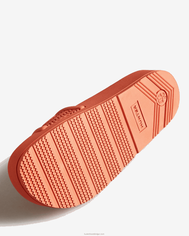 X226V284 bloei dia's vrouwen Hunter suncup oranje