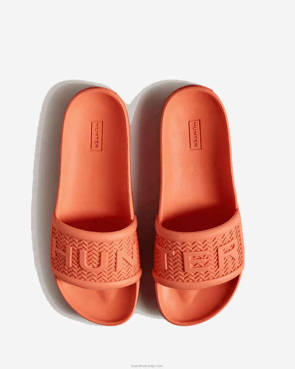 X226V284 bloei dia's vrouwen Hunter suncup oranje